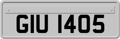 GIU1405
