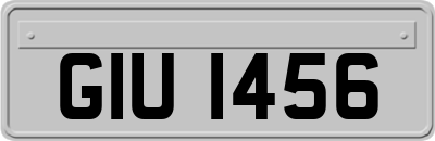 GIU1456