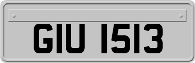 GIU1513