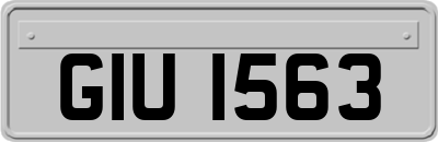 GIU1563