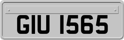 GIU1565