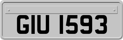 GIU1593