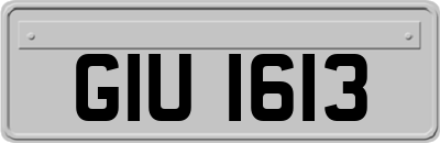 GIU1613