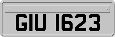 GIU1623