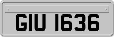 GIU1636