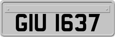 GIU1637