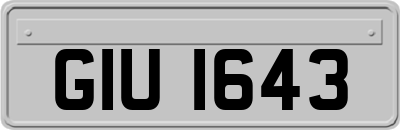 GIU1643