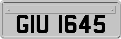 GIU1645