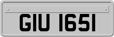 GIU1651