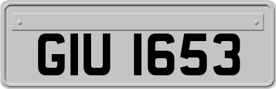 GIU1653
