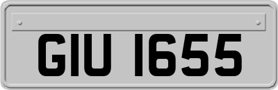 GIU1655