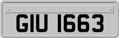 GIU1663