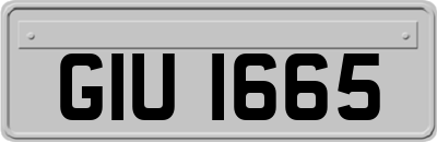 GIU1665