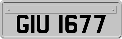 GIU1677