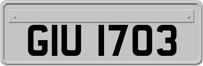 GIU1703