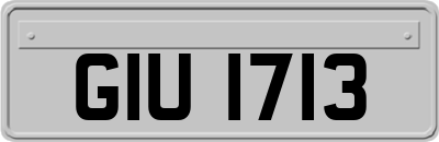GIU1713
