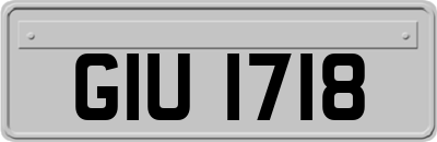 GIU1718