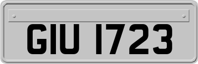 GIU1723