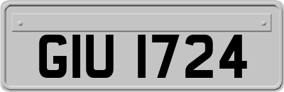 GIU1724