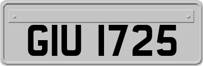 GIU1725