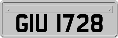 GIU1728
