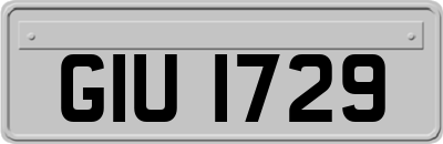 GIU1729