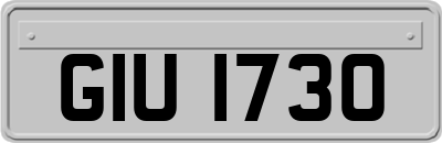 GIU1730