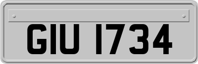 GIU1734