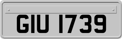 GIU1739