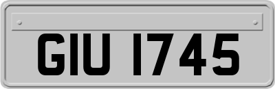 GIU1745
