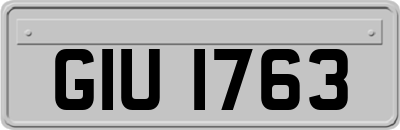 GIU1763