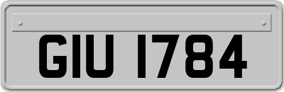 GIU1784