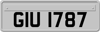 GIU1787