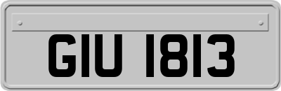 GIU1813