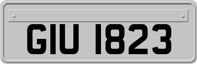 GIU1823