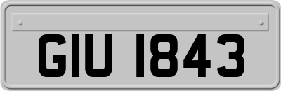 GIU1843