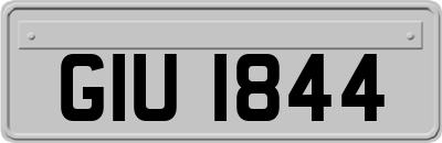 GIU1844