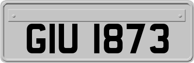 GIU1873