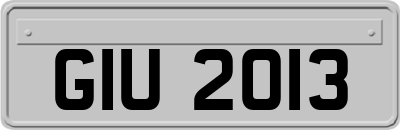 GIU2013