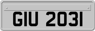 GIU2031