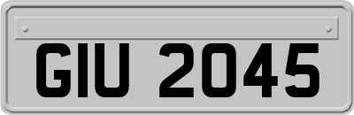 GIU2045