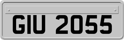 GIU2055