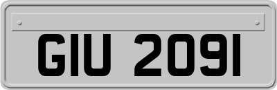 GIU2091