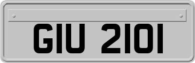 GIU2101