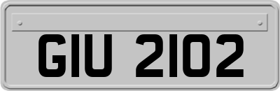 GIU2102