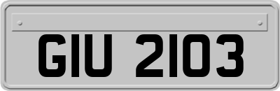 GIU2103
