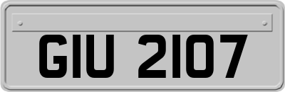 GIU2107
