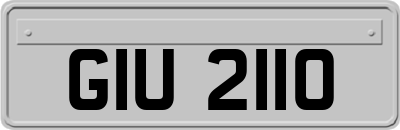 GIU2110