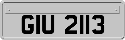 GIU2113