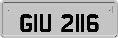 GIU2116